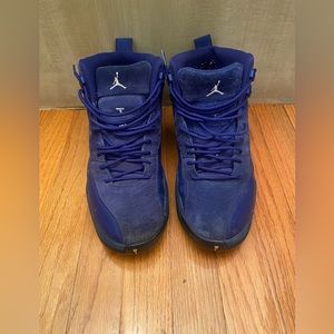 Jordan 12s (blue) size 9.5